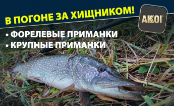 Приманки крупного размера и форелевый силикон — осенние предложения от AKKOI